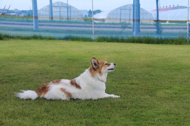 ファイル 91-3.jpg