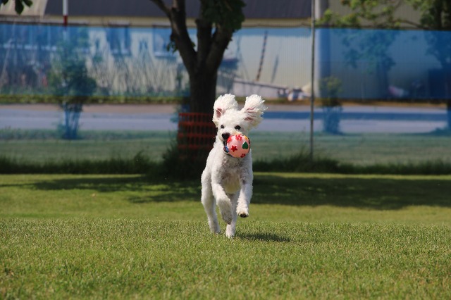 ファイル 91-6.jpg