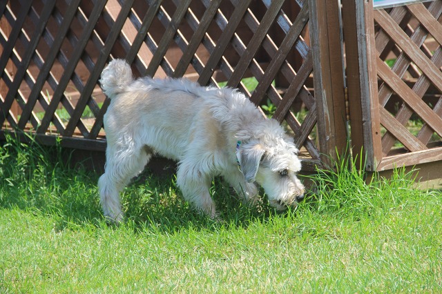 ファイル 91-7.jpg