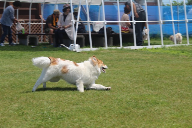 ファイル 91-9.jpg