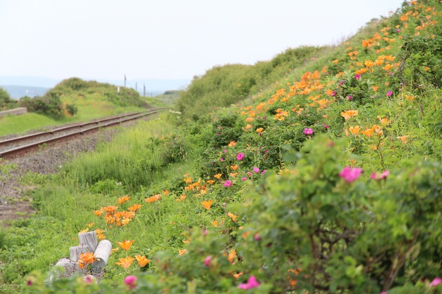 ファイル 92-5.jpg