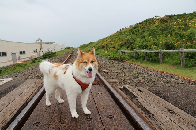 ファイル 92-7.jpg