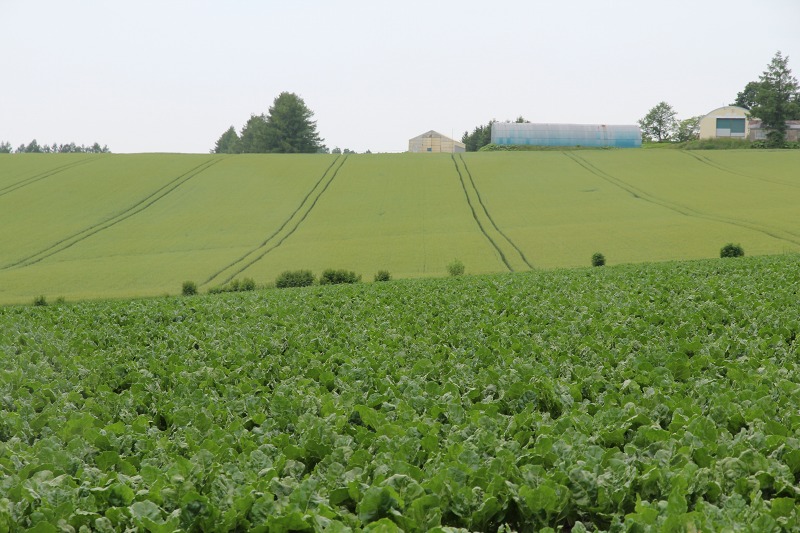 ファイル 92-8.jpg