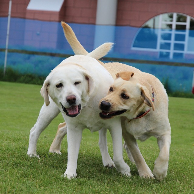 ファイル 95-5.jpg