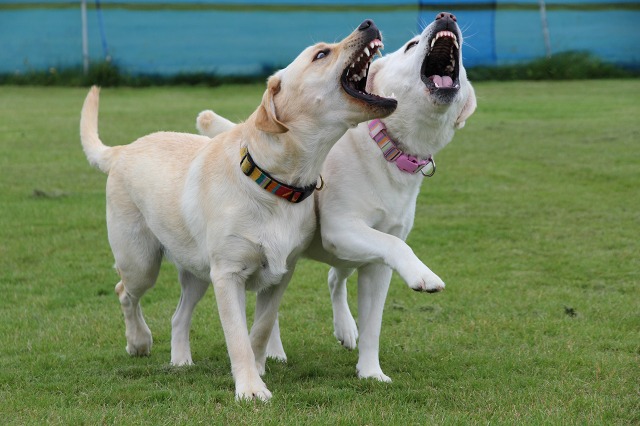 ファイル 95-9.jpg