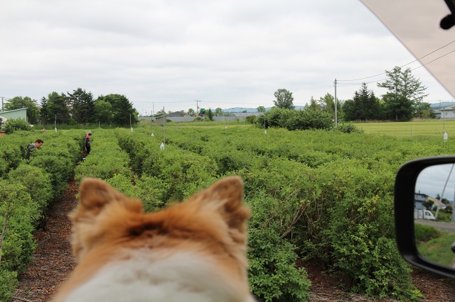 ファイル 97-2.jpg