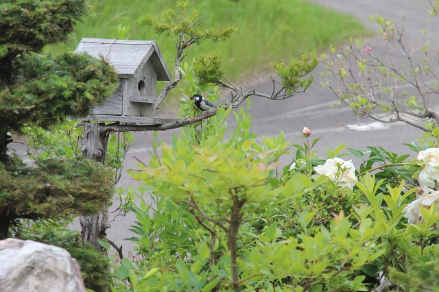 ファイル 97-4.jpg