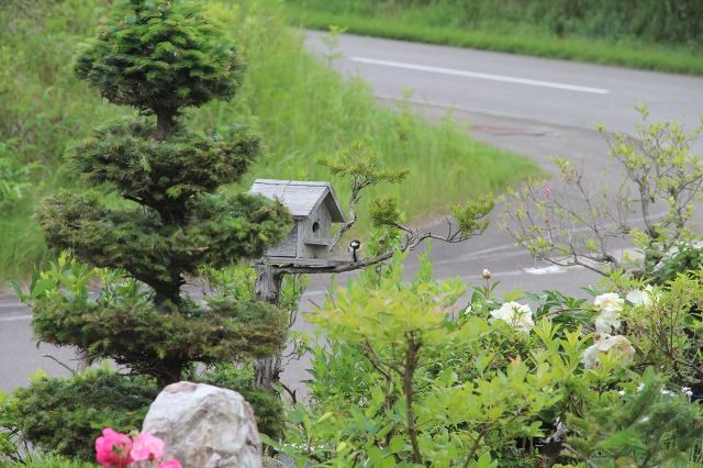 ファイル 97-5.jpg