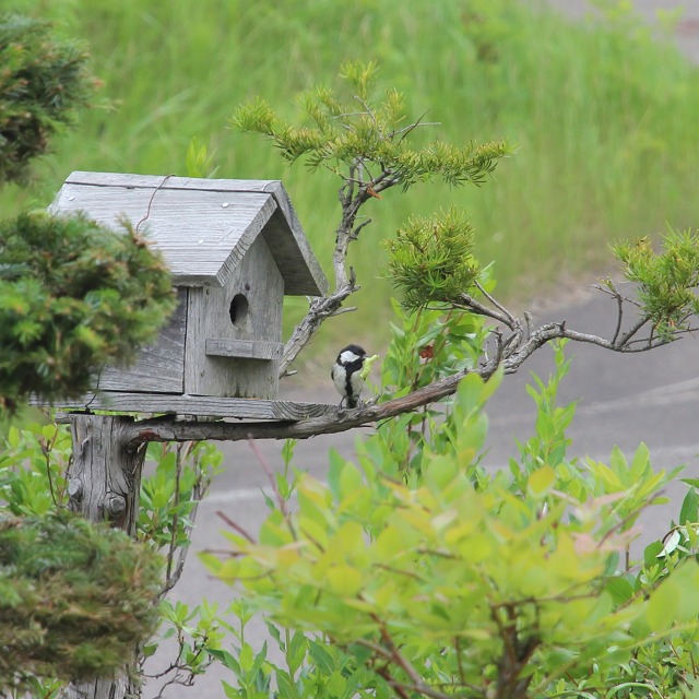 ファイル 97-6.jpg