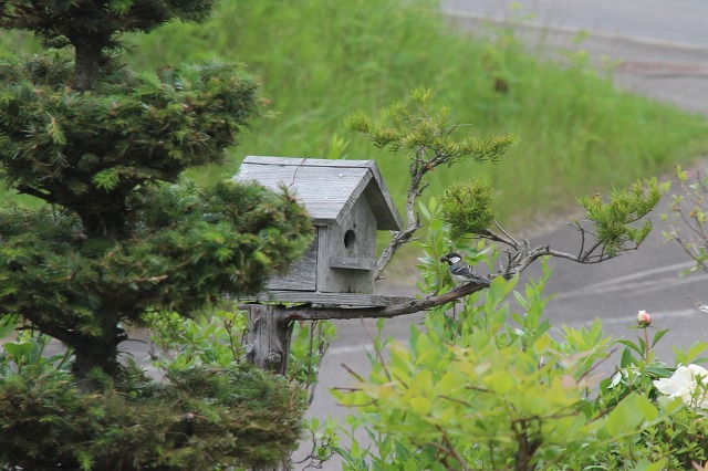 ファイル 97-8.jpg