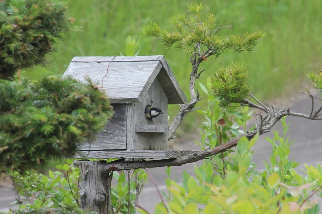 ファイル 97-9.jpg