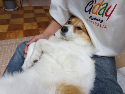 ファイル 98-1.jpg