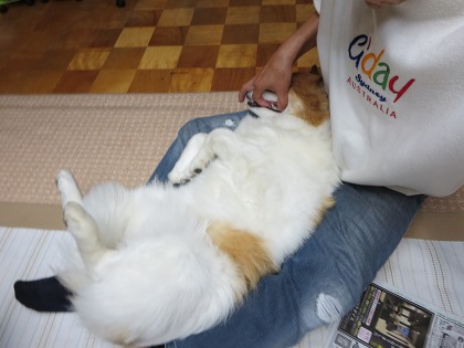 ファイル 98-3.jpg