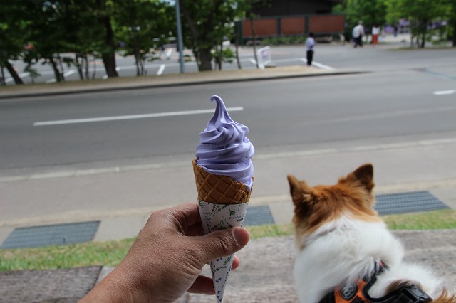 ファイル 100-1.jpg