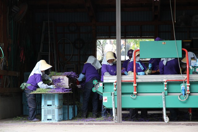 ファイル 100-2.jpg