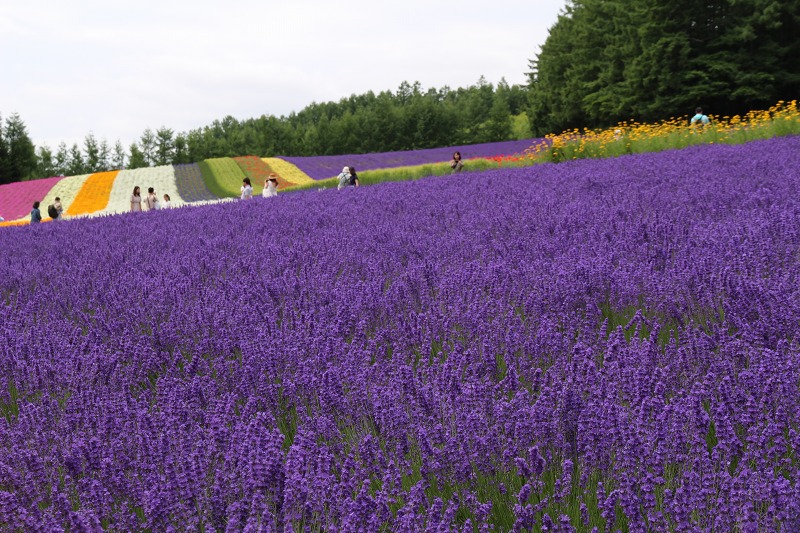 ファイル 100-4.jpg