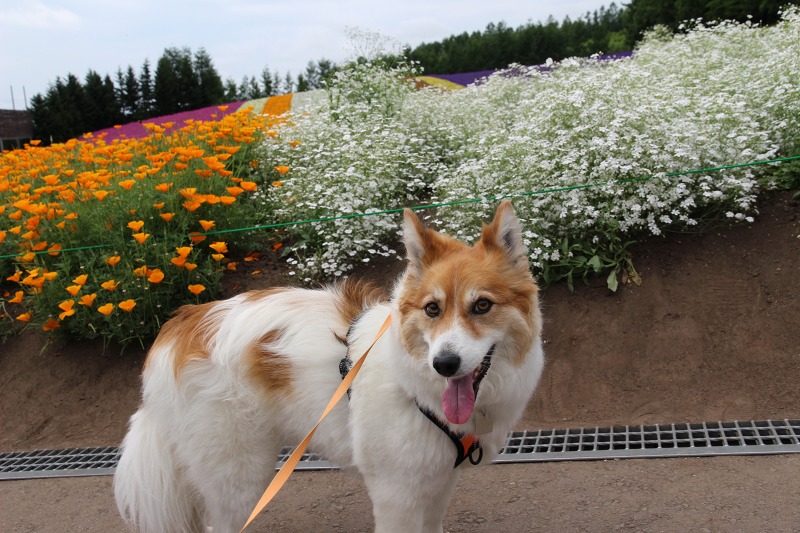 ファイル 100-5.jpg