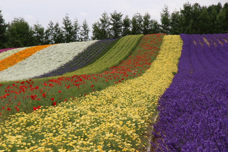 ファイル 100-6.jpg