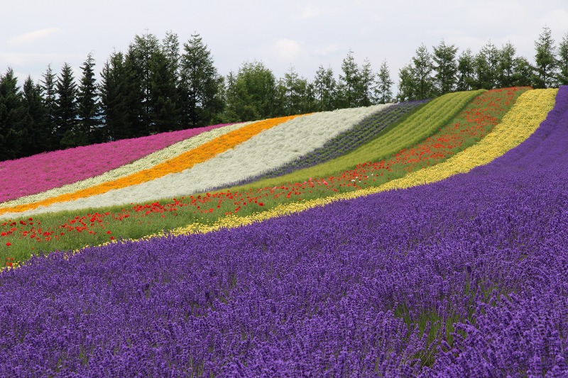 ファイル 100-7.jpg