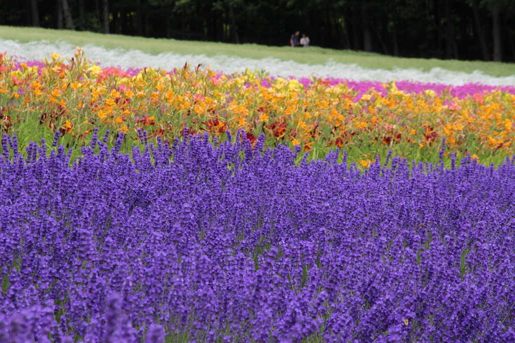 ファイル 100-9.jpg