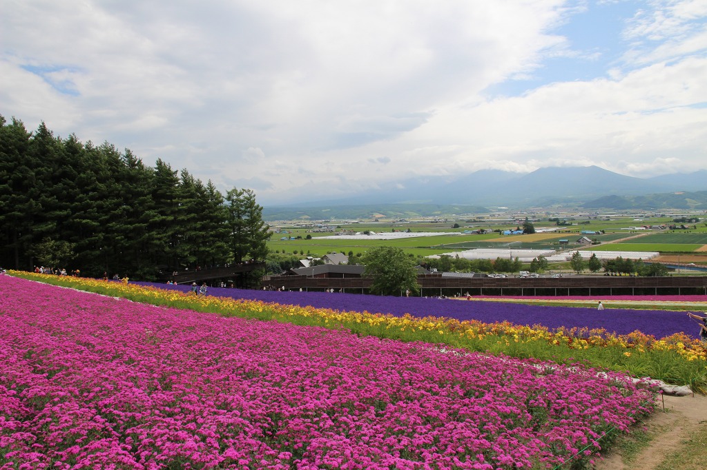 ファイル 101-2.jpg