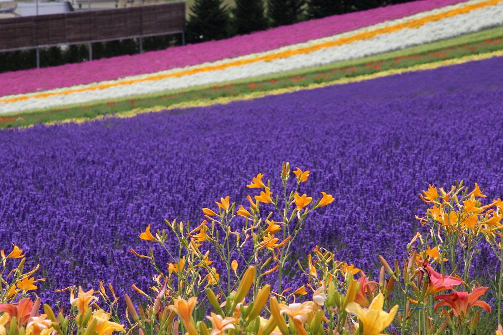 ファイル 101-4.jpg