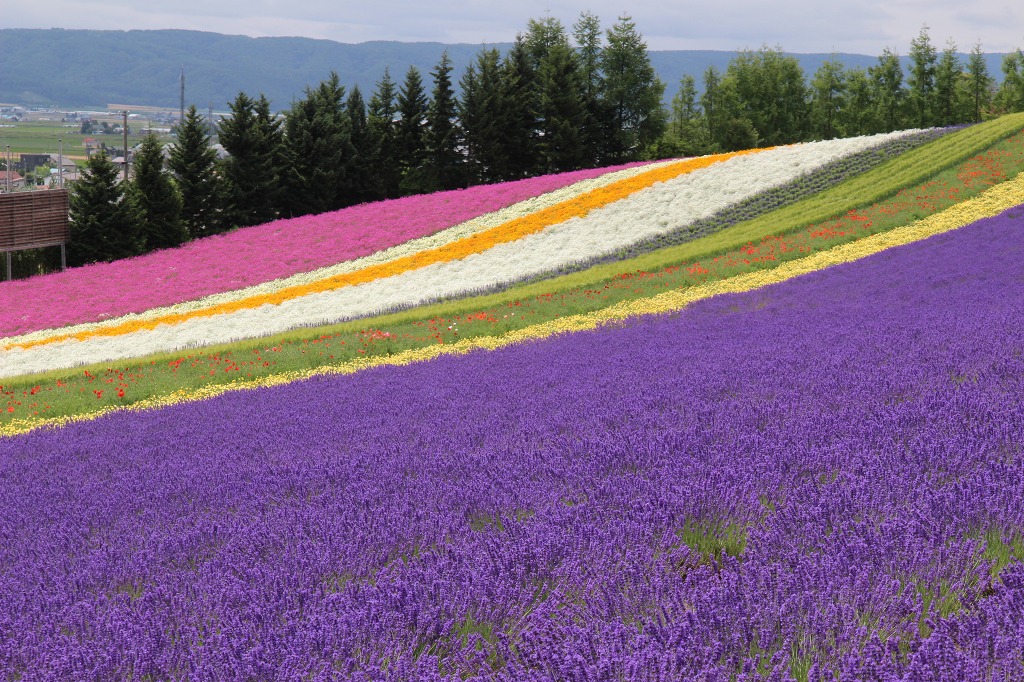 ファイル 101-6.jpg