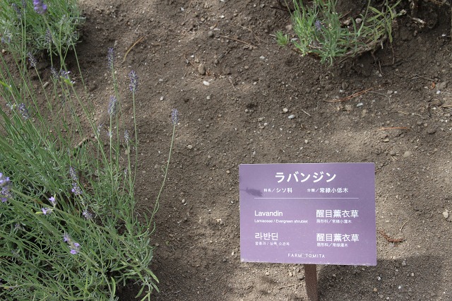 ファイル 101-8.jpg