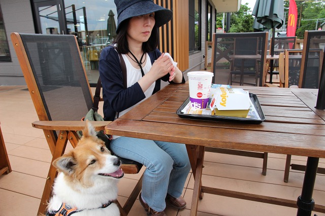 ファイル 101-9.jpg