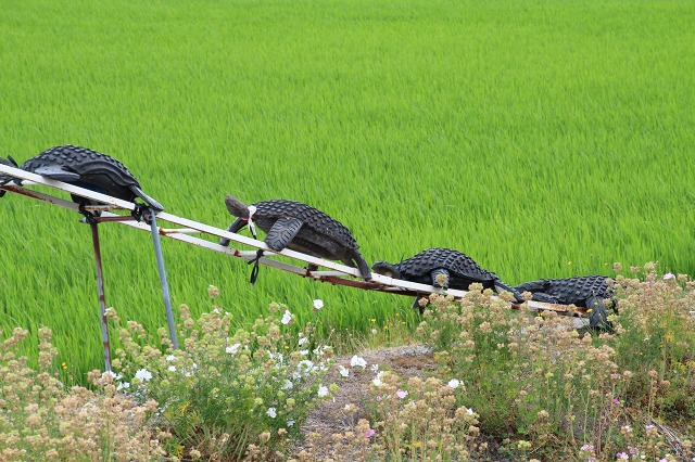 ファイル 103-3.jpg