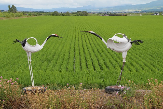 ファイル 103-4.jpg