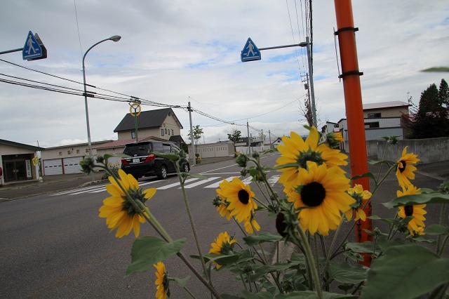 ファイル 103-5.jpg