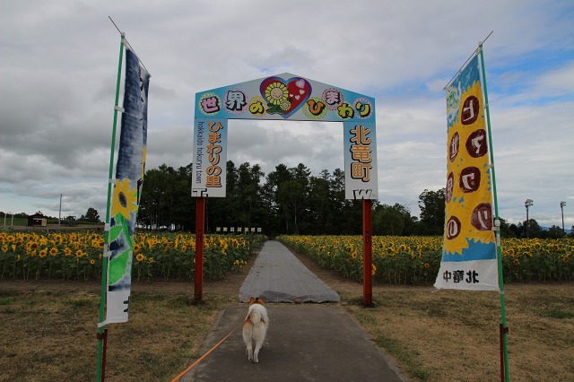 ファイル 103-6.jpg