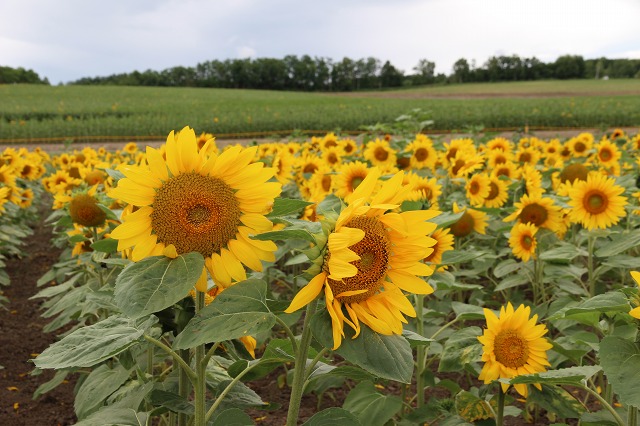 ファイル 103-7.jpg