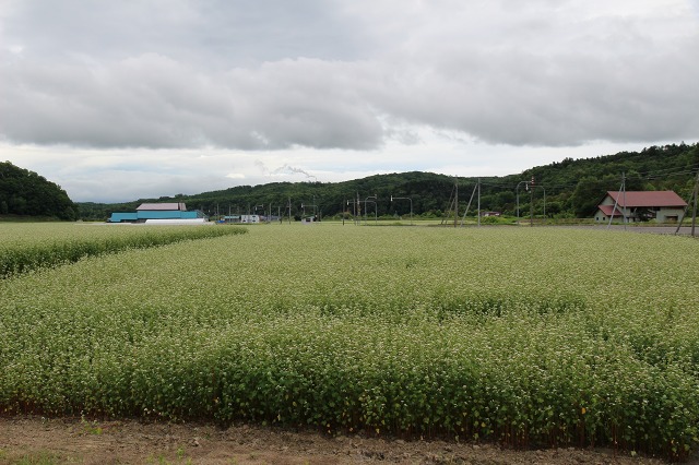 ファイル 104-2.jpg