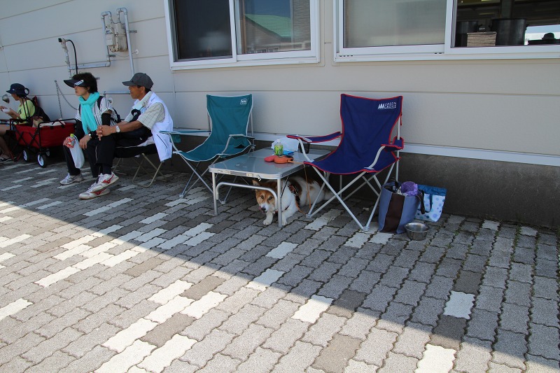 ファイル 105-3.jpg