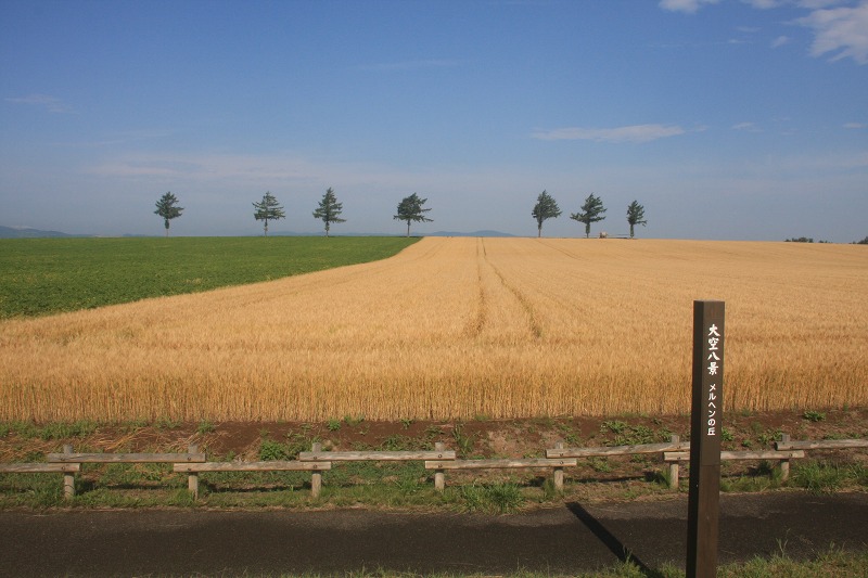 ファイル 107-1.jpg