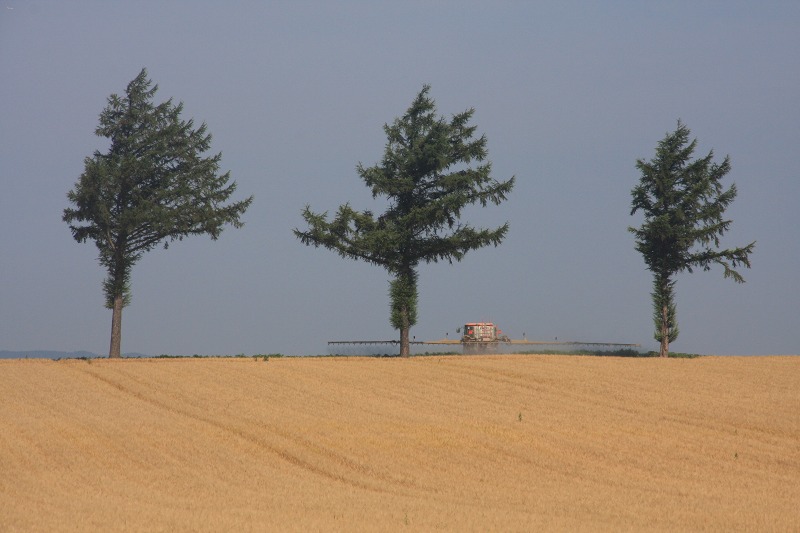 ファイル 107-2.jpg