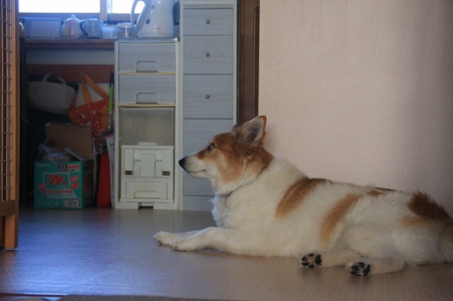 ファイル 107-6.jpg