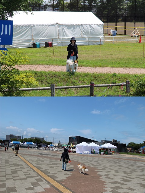 ファイル 108-5.jpg