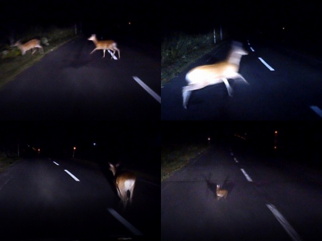 ファイル 108-9.jpg