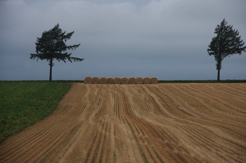 ファイル 109-1.jpg