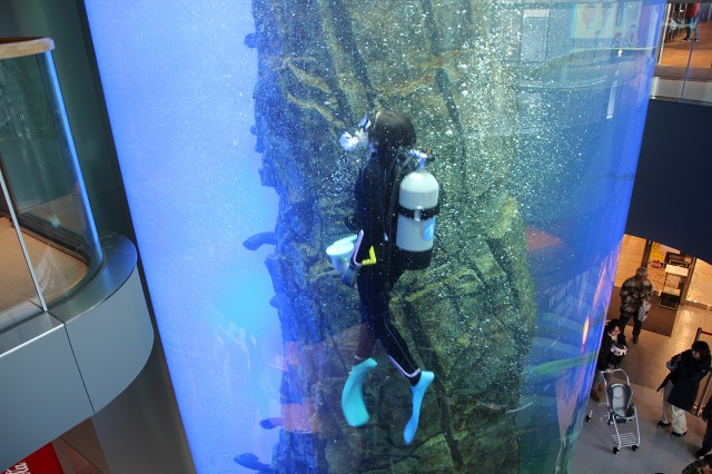 ファイル 11-2.jpg