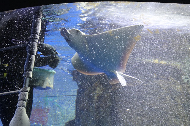 ファイル 11-3.jpg