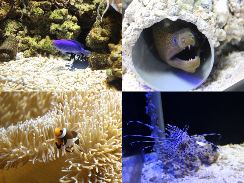 ファイル 11-5.jpg