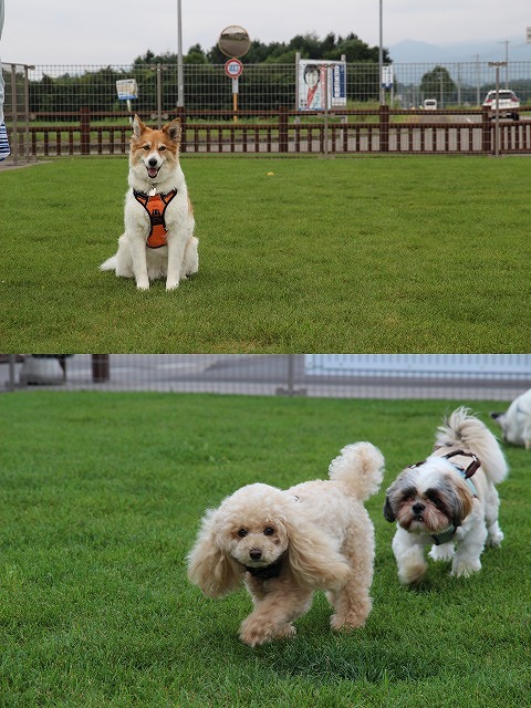 ファイル 112-5.jpg