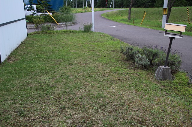 ファイル 114-1.jpg