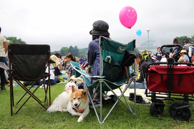 ファイル 114-6.jpg