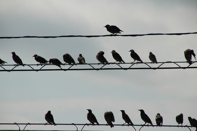 ファイル 115-5.jpg