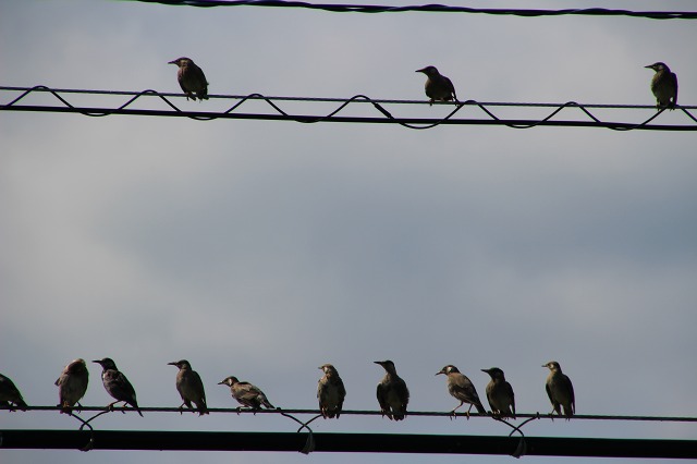 ファイル 115-6.jpg